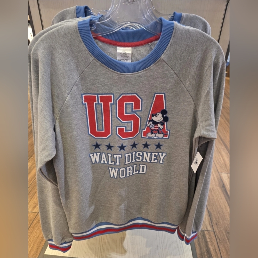 Disney Parks Sweatshirt Pullover USA Walt Disney World Small Unisex